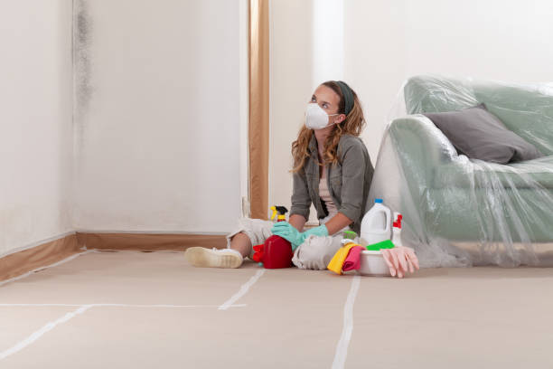 Reliable Mold Remediation contractor in Franklin, NC by 24 Hour Mold Removal